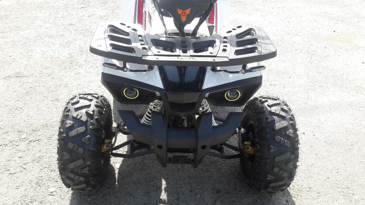 Avantis hunter карбюратор