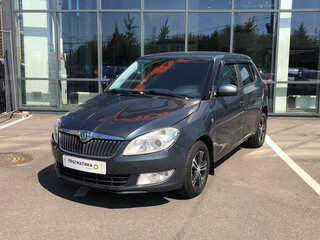 2010 Skoda Fabia II Рестайлинг, серый, 309000 рублей, вид 1