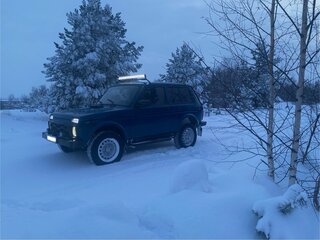 2002 Lada (ВАЗ) 2121 (4x4) I Рестайлинг, синий, 300000 рублей, вид 1