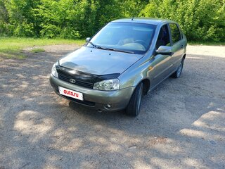 2009 Lada (ВАЗ) Kalina I, серый, 410000 рублей, вид 1
