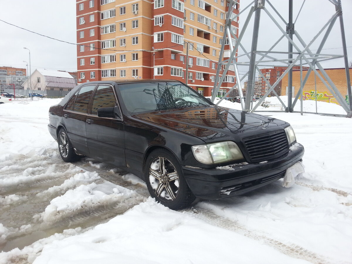 И наш взгляд на наш взгляд верен старый ствол ногу в пол 63 мерин