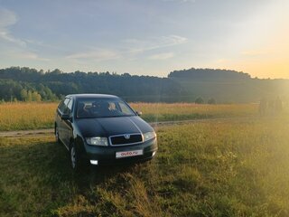 2003 Skoda Fabia I, зелёный, 385000 рублей, вид 1