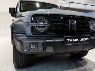 2024 Tank 300 I, серый, 4499000 рублей, вид 1