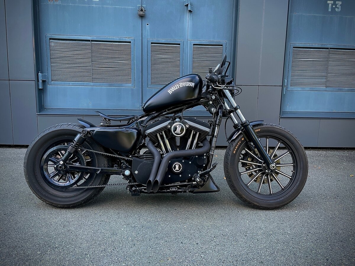 Harley Davidson Sportster 883 5