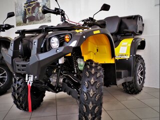 2021 Stels ATV-600YS Leopard, жёлтый, 545000 рублей, вид 1