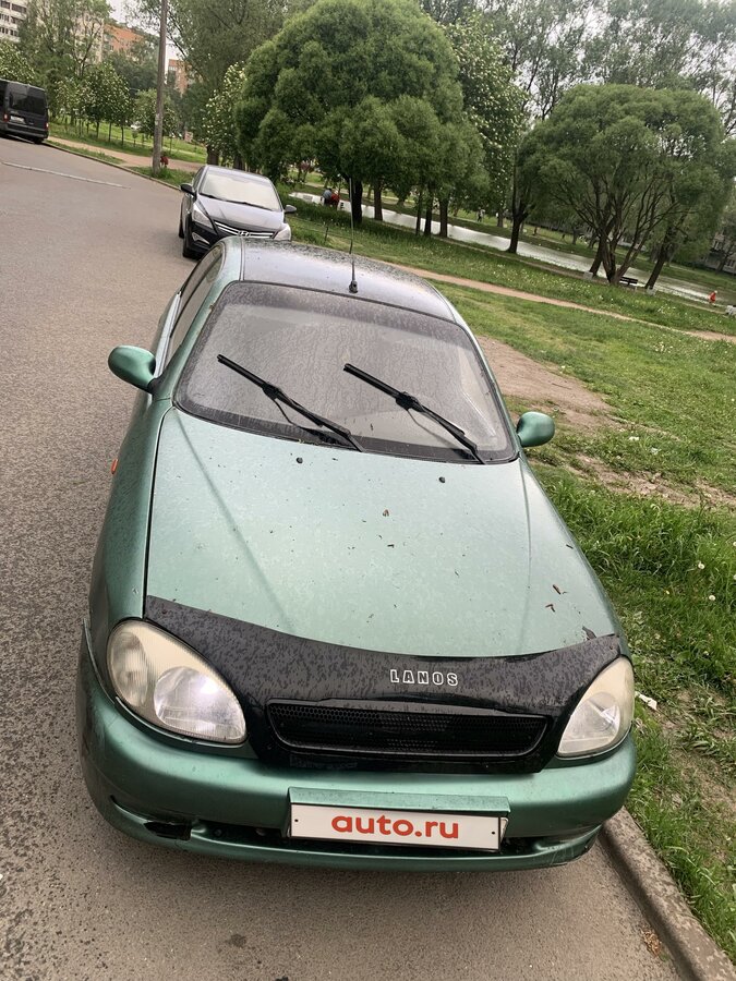 Зеленый заз сенс