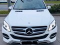 2016 Mercedes-Benz GLE 300 I (W166), белый - вид 2