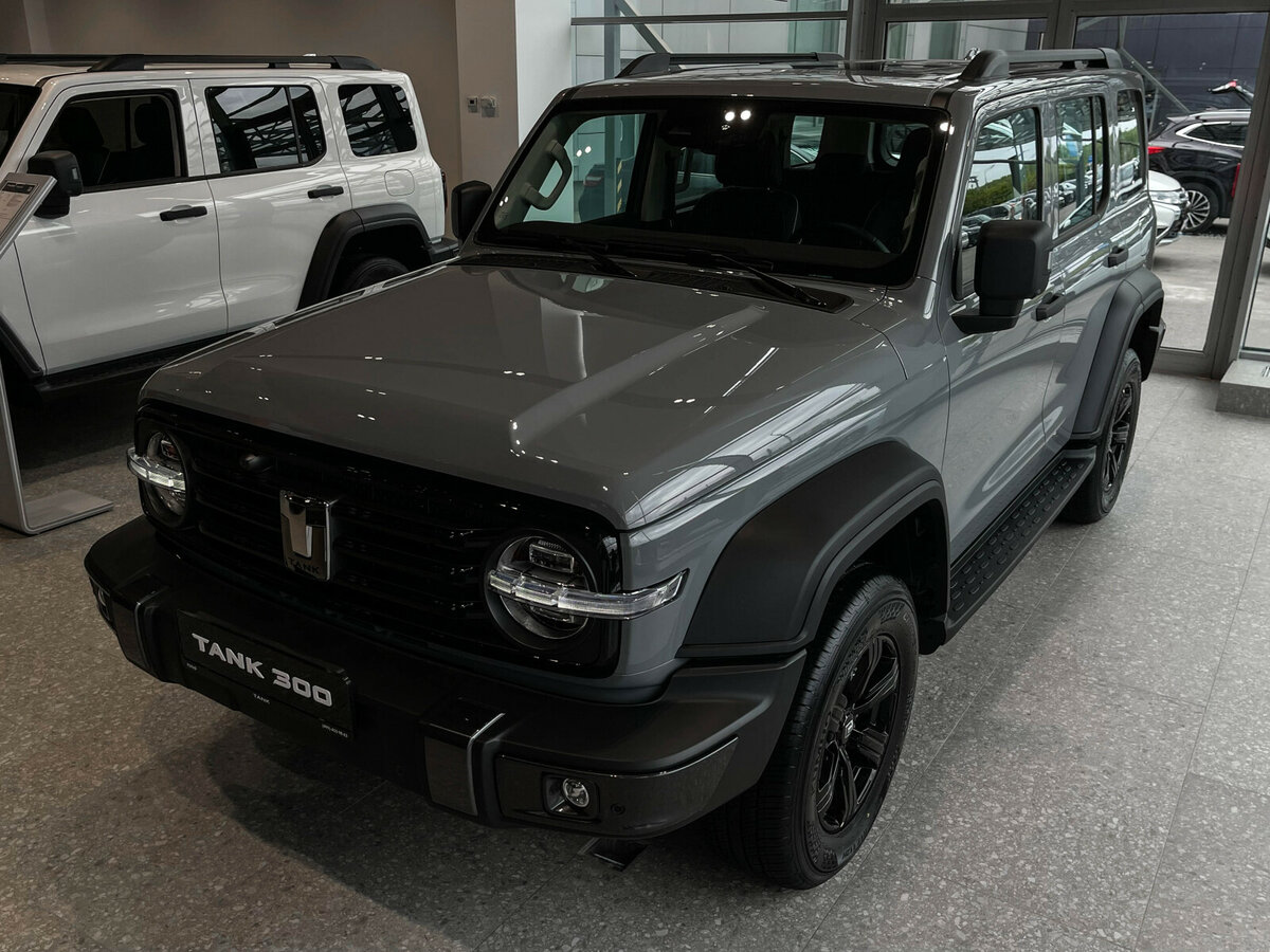 Tank 300 I