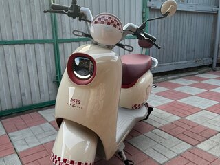 2024 Tailg TDR 161Z, бежевый, 125000 рублей, вид 1