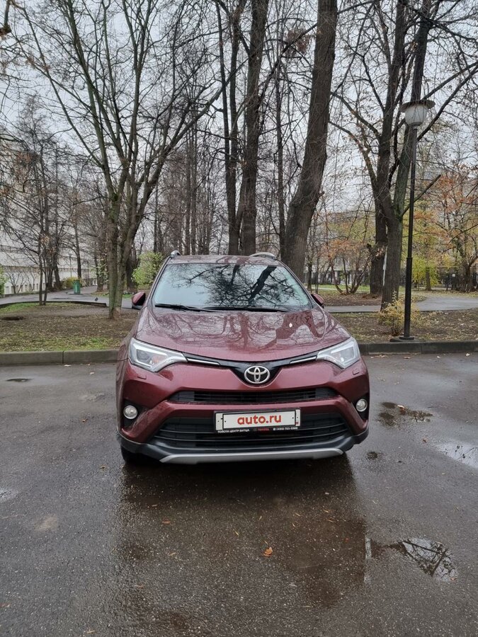 Тойота битца сотрудники