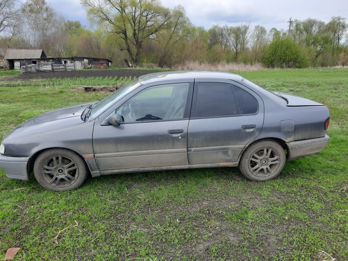 Ниссан примера воронеж