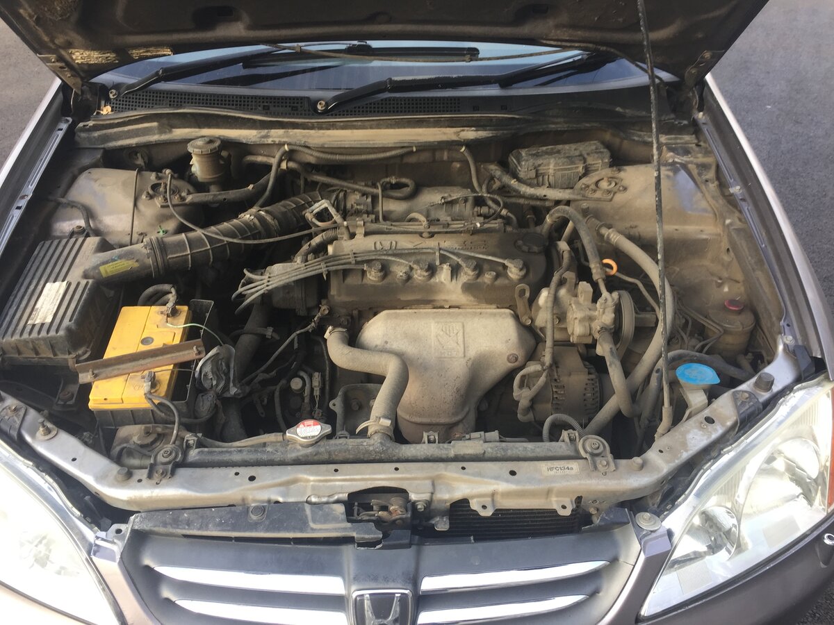 Запчасти хонда авансир