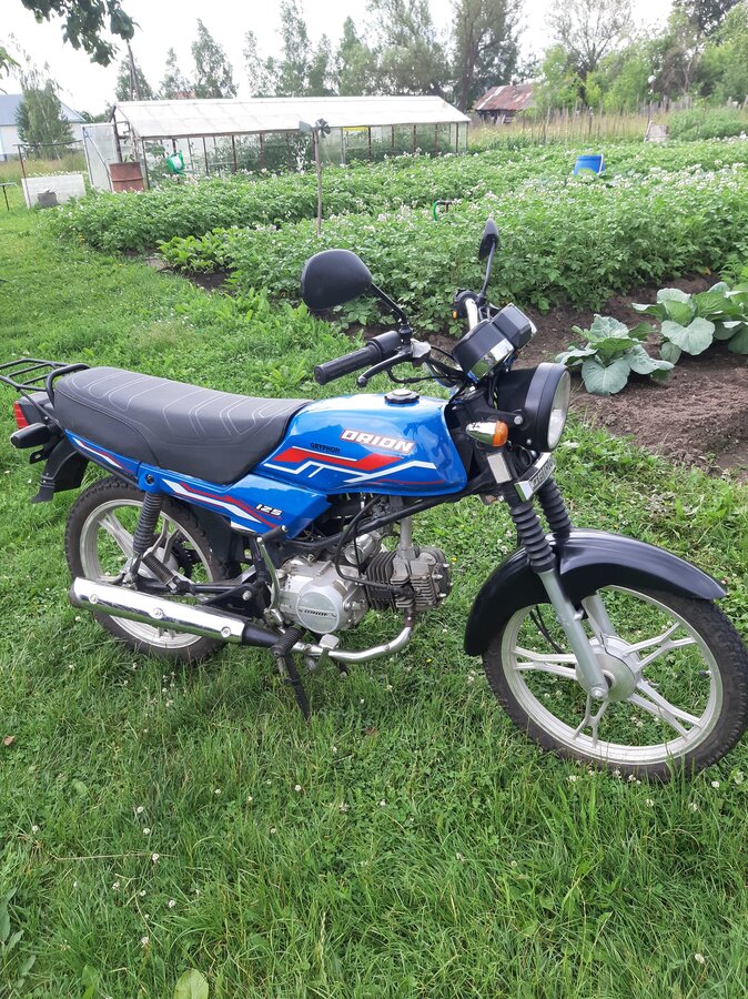 Картинки орион грифон 125