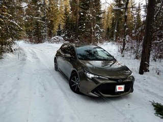 2019 Toyota Corolla XII (E210), коричневый, 1850000 рублей, вид 1