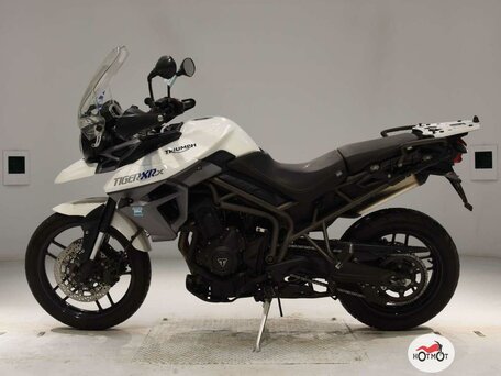 2015 triumph tiger hotsell