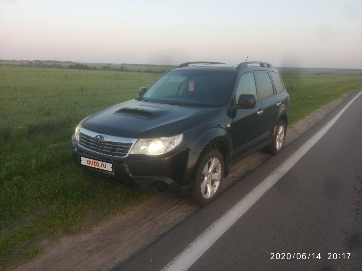 Купить б/у Subaru Forester III 2.5 AT (230 л.с.) 4WD