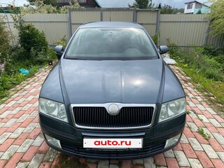 2005 Skoda Octavia II (A5), серый, 430000 рублей, вид 1