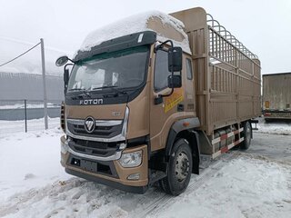 2023 Foton Ollin BJ11xx, коричневый, 5448324 рублей, вид 1