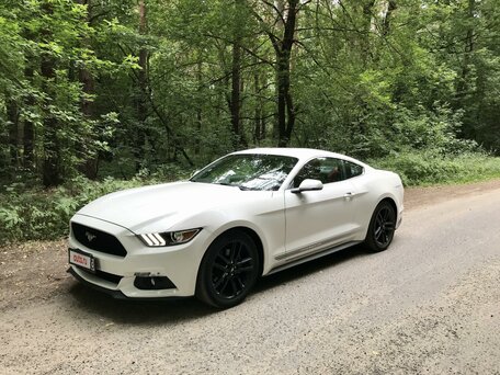 ford mustang в гомеле фото