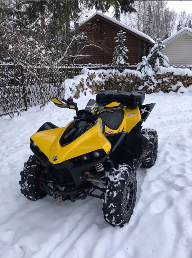 Cectek KINGCOBRA