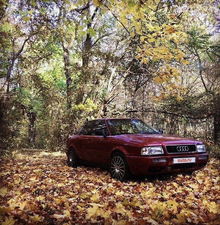 Audi 80 v b4