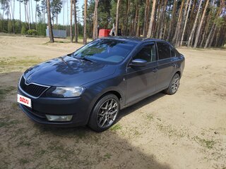 2014 Skoda Rapid I, серый, 620000 рублей, вид 1