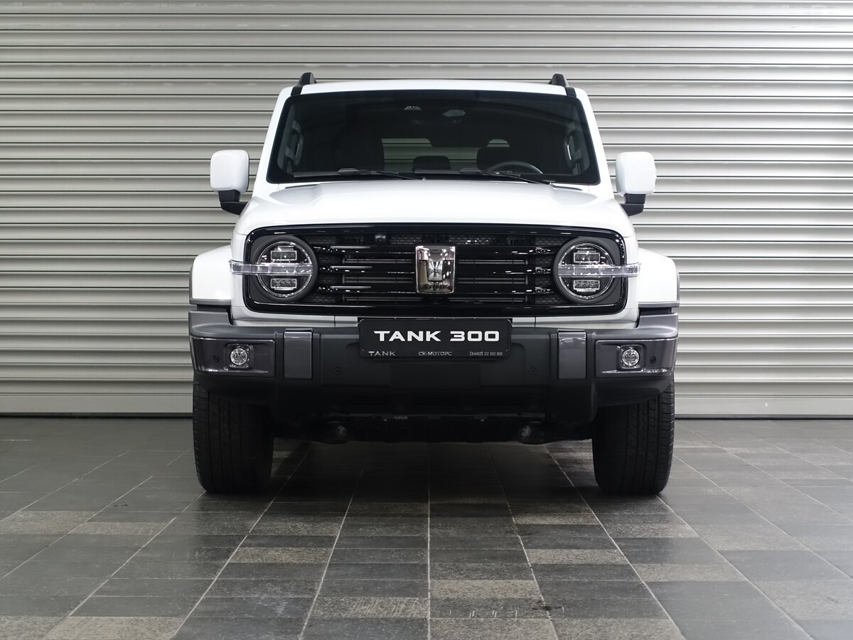 Tank 300 I