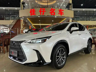 2022 Lexus NX 250 II, белый, 3451001 рублей, вид 1