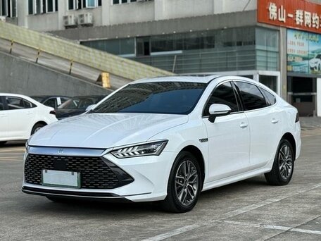 Qizning yuvilmagan mushuki bor