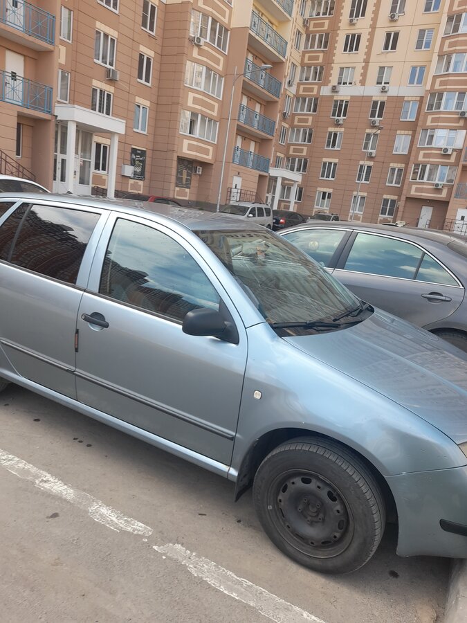 Шкода фабия ростов