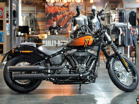 Harley Davidson Street Bob 6 2021 2 550 000