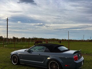 2006 Ford Mustang V, серый, 3000000 рублей, вид 1