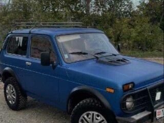 2002 Lada (ВАЗ) 2121 (4x4) I Рестайлинг, зелёный, 260000 рублей, вид 1