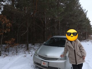 2004 Toyota Prius II (XW20), серый, 600000 рублей, вид 1