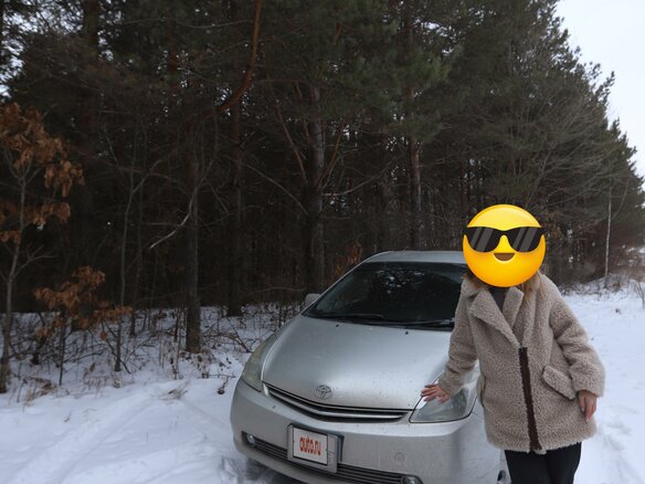 2004 Toyota Prius II (XW20), серый, 600000 рублей