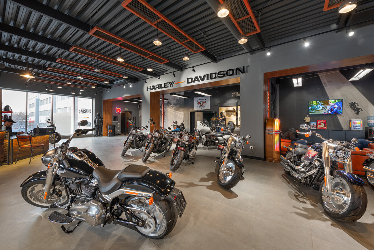 2020 Harley-Davidson Road Glide, коричневый - вид 13
