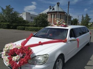 1998 Mercedes-Benz S-Класс 320 Long IV (W220), белый, 500000 рублей, вид 1