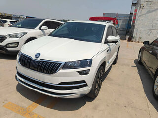 2024 Skoda Karoq I, белый, 2045000 рублей, вид 1
