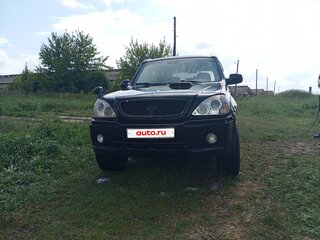 2002 Hyundai Terracan I, чёрный, 410000 рублей, вид 1