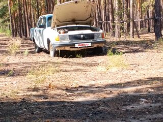 1994 ГАЗ 31029 «Волга», белый, 65000 рублей, вид 1