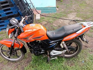 Wels Gold Sport