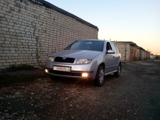 2001 Skoda Fabia I, серебристый, 285000 рублей, вид 3
