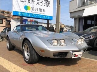 1978 Chevrolet Corvette C3, серебристый, 7650000 рублей, вид 1