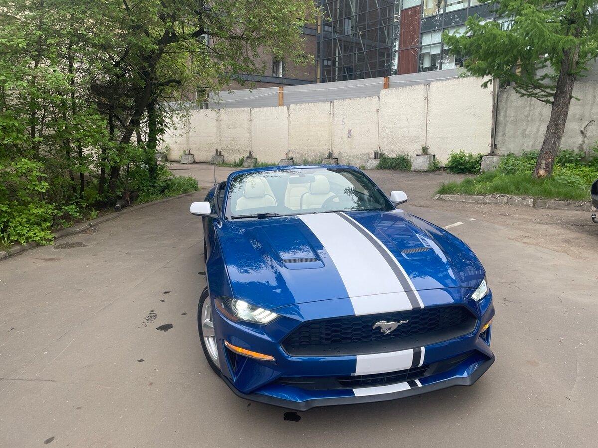 Купить б/у Ford Mustang VI Рестайлинг 2.3 AT (317 л.с.) бензин автомат ...