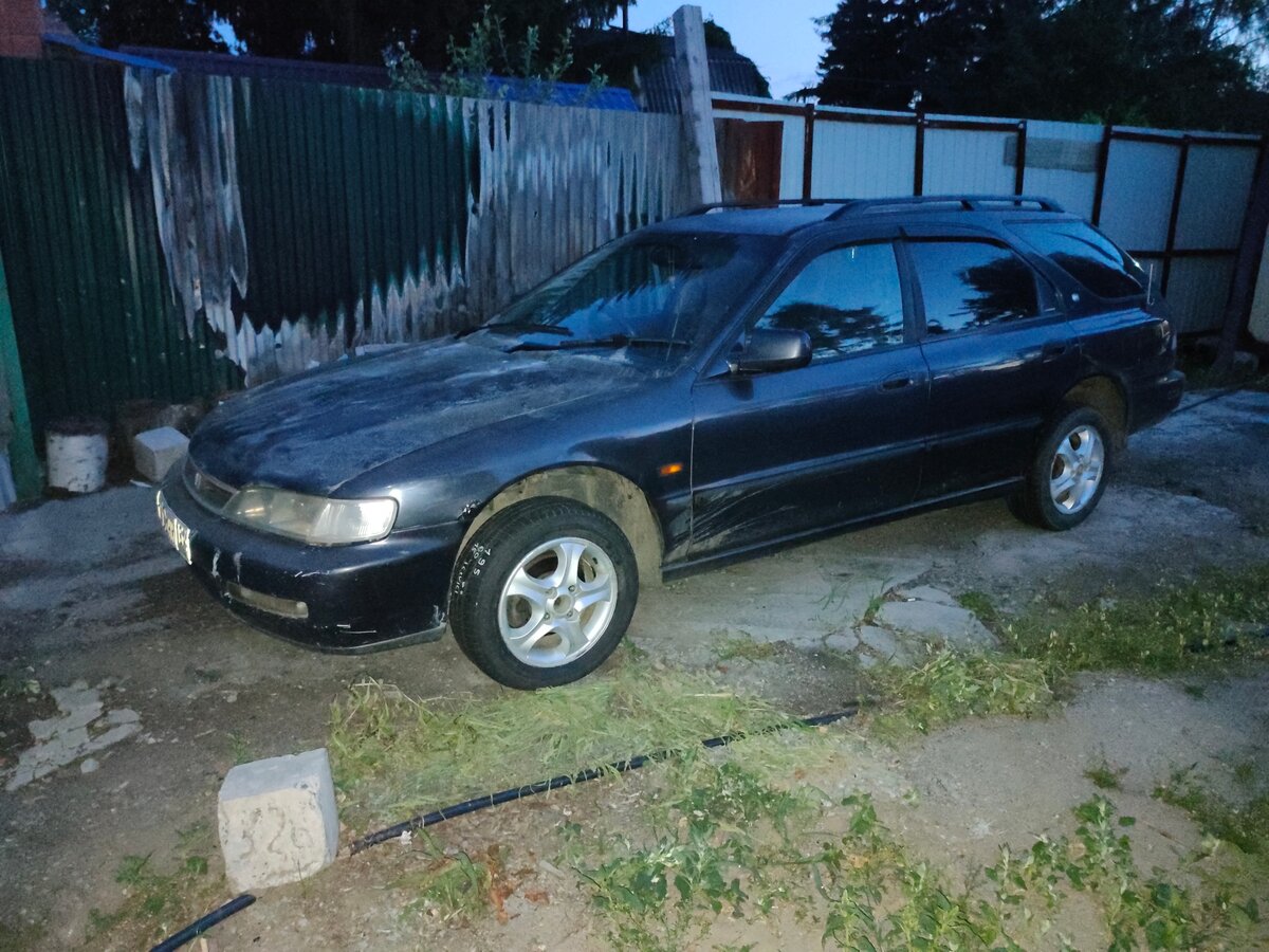 Автодром новосибирск хонда аккорд