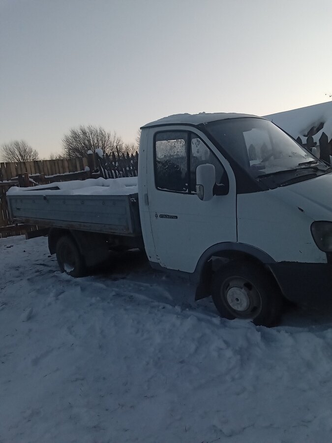 Газель белый максидом