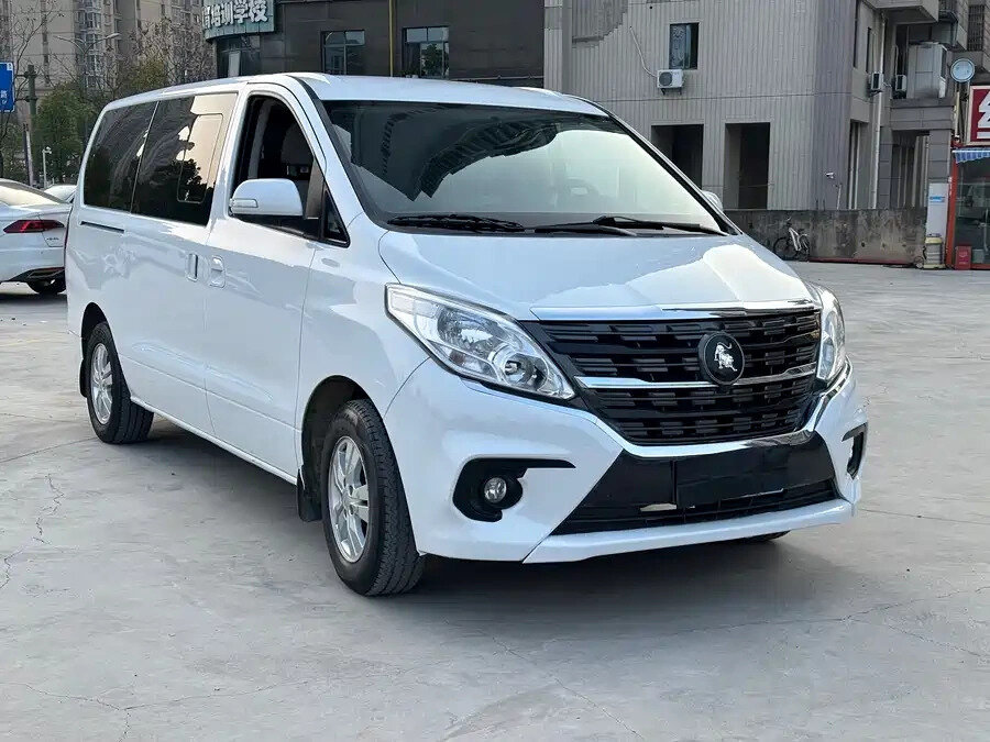 Forthing Lingzhi Plus