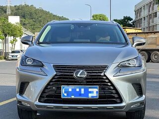 2020 Lexus NX 300 I Рестайлинг, серый, 2615030 рублей, вид 1
