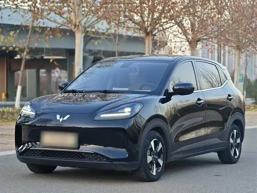 Wuling Binguo