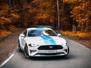 2019 Ford Mustang VI Рестайлинг, белый, 4400000 рублей, вид 1